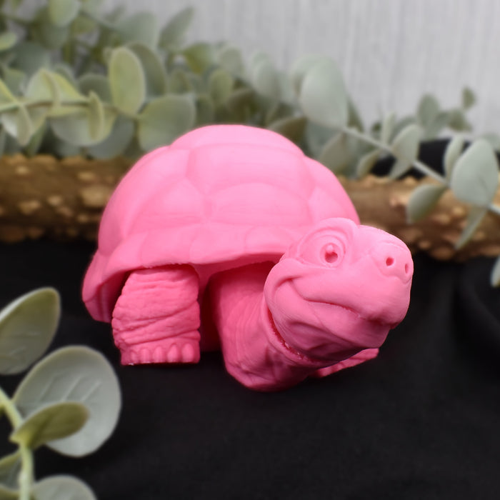 Tortoise Fidget