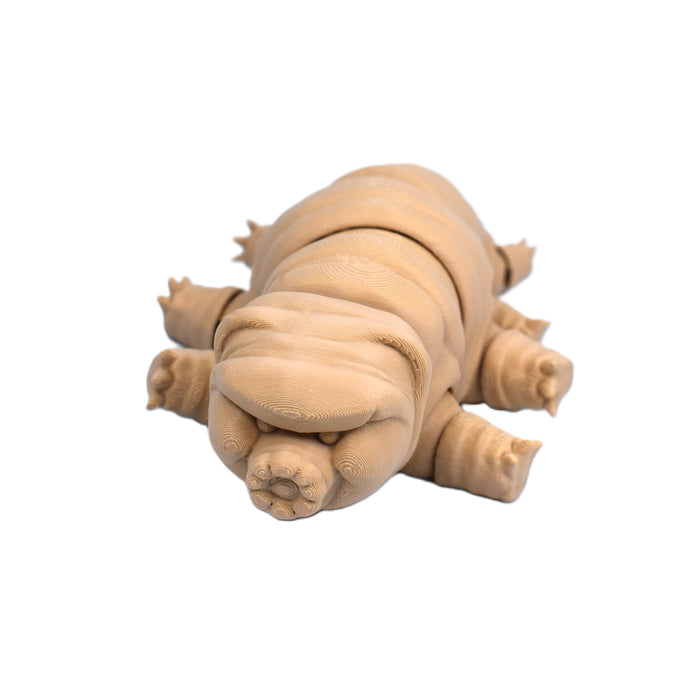 Tardigrade Fidget