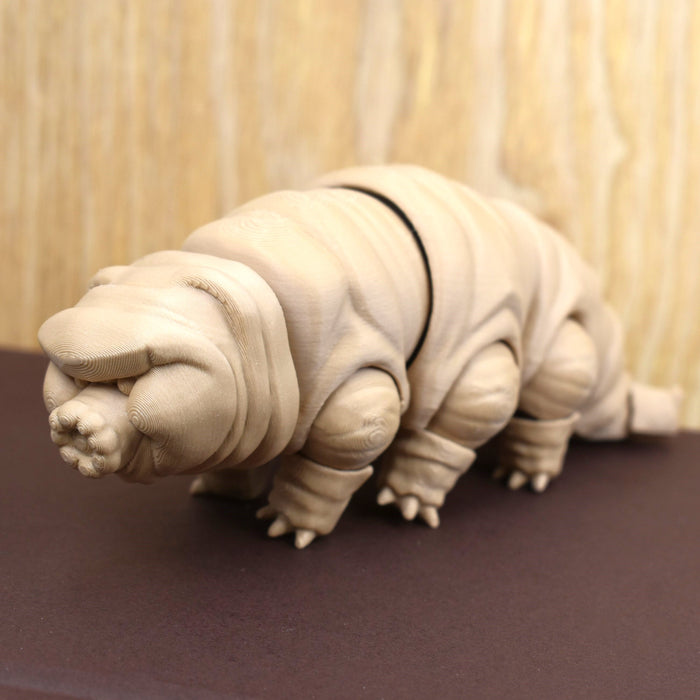 Tardigrade Fidget