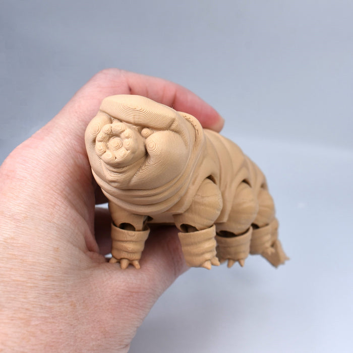 Tardigrade Fidget