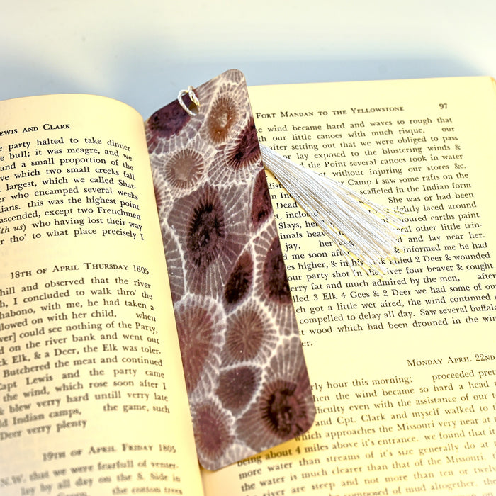 Petoskey Bookmark