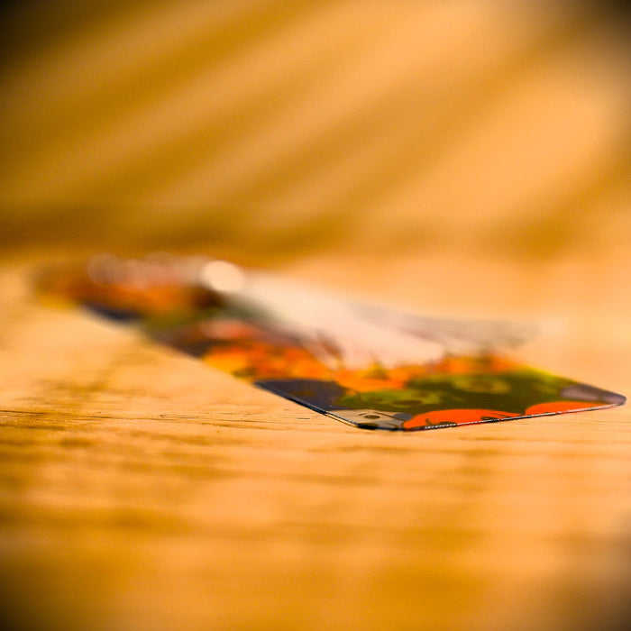 Rainbow Dogs Bookmark