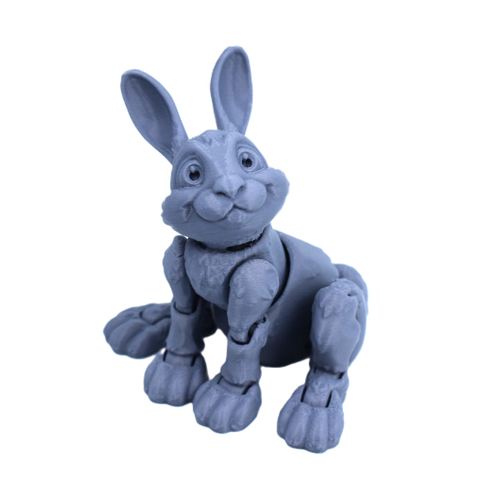 Bunny Rabbit Fidget