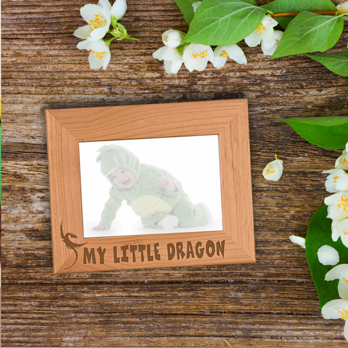 My Little Dragon Frame