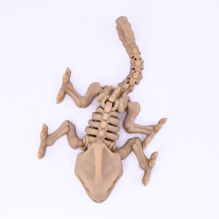 Skeleton Chameleon Fidget