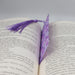 an open book with a purple tassel on top of it